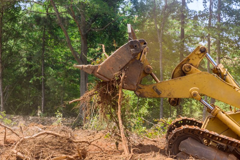 Increase Your Land Clearing Business with an AI Driven, Targeted Website