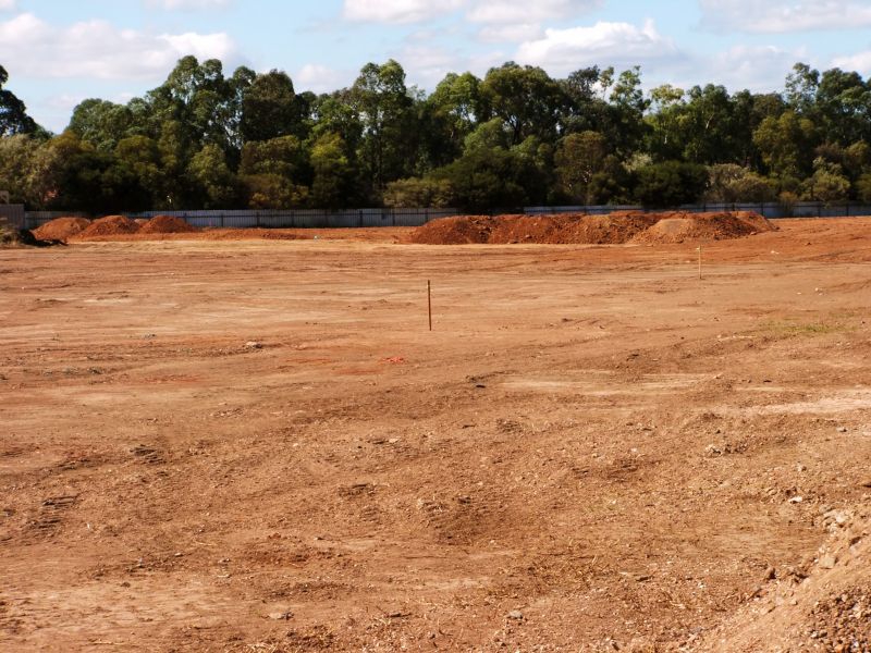Land Clearing in Spring