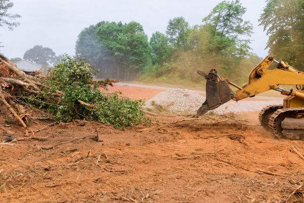 Ground Clearing in Greenwood