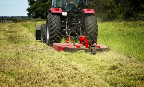 Brush Clearing Service in Greenwood