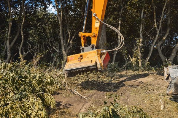 Brush Removal Service in Greenwood