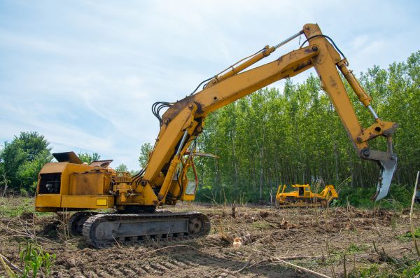 Farm Clearing in Greenwood
