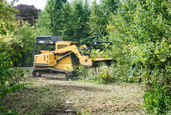 Pathway Clearing in Greenwood