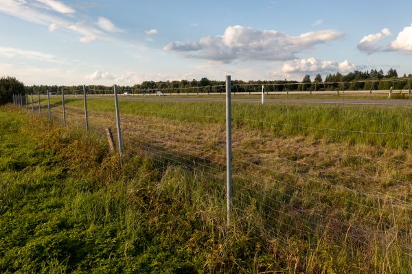 Property Line Clearing in Greenwood