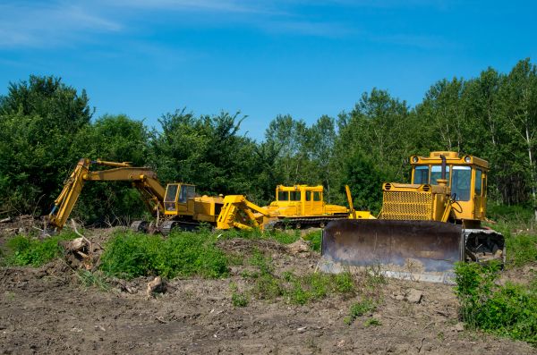 Bulldozer Clearing in Greenwood