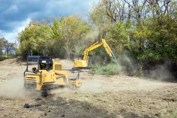 Terrain Clearing in Greenwood