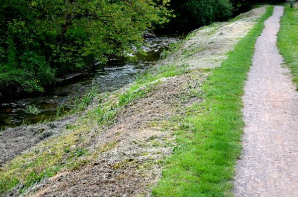 Trail Cutting in Greenwood